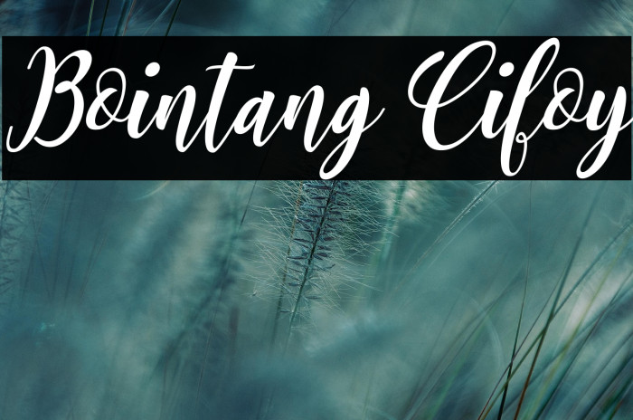 Bointang Cifoy Example 3