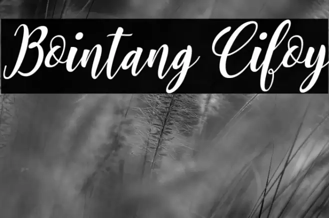 Bointang Cifoy Font examples