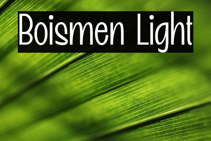 Boismen Light Example 1