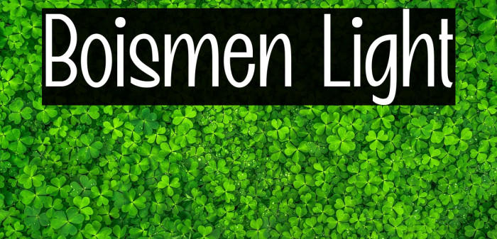 Boismen Light Example 2