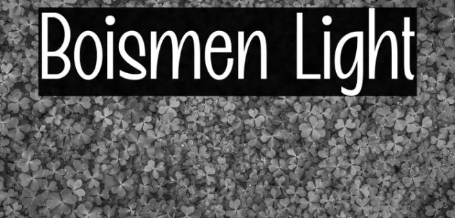 Boismen Light Example 2