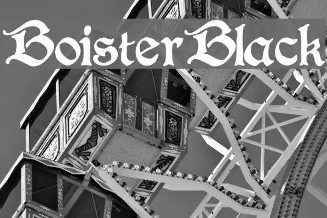 BoisterBlack Font examples