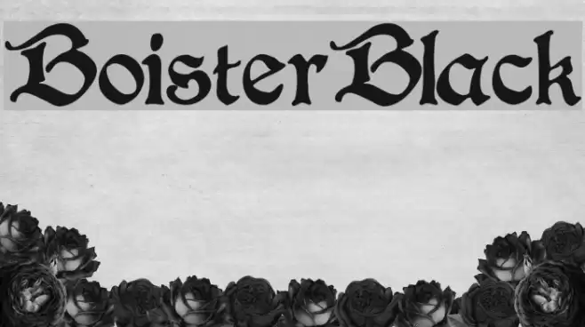 BoisterBlack Font examples