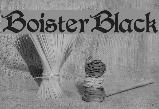 BoisterBlack Font examples