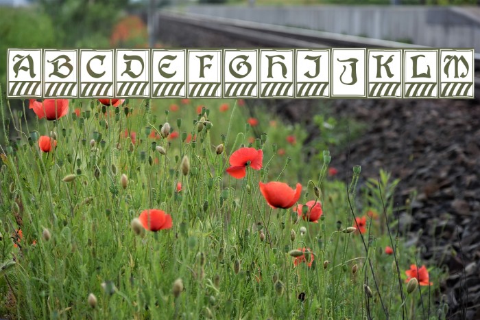 BoisterCapitals Font examples