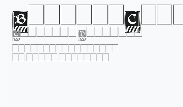 BoisterCapitals Business Card