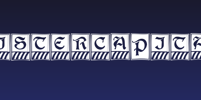 BoisterCapitals Social Header