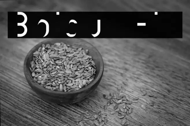 Boisu Fill Font examples