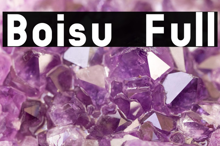 Boisu Full Example 1