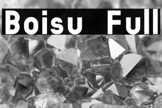 Boisu Full Font examples