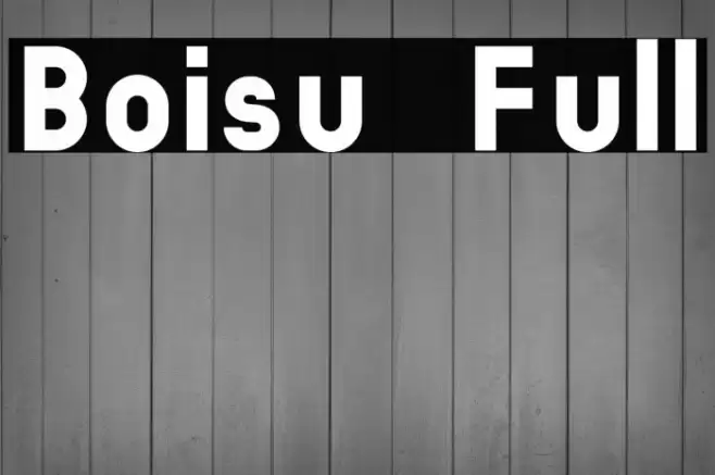 Boisu Full Font examples