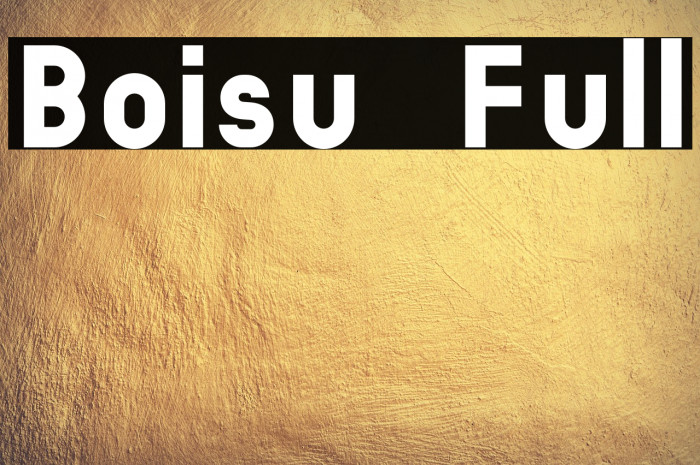 Boisu Full Example 3