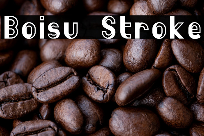 Boisu Stroke Example 1