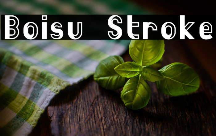 Boisu Stroke Example 3