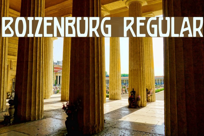Boizenburg Regular Font examples