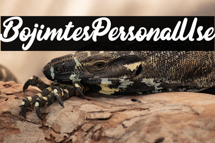 BojimtesPersonalUse Example 1