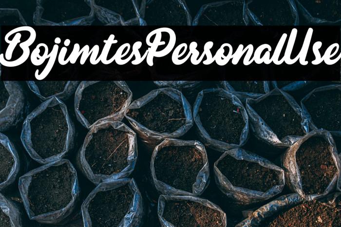 BojimtesPersonalUse Example 2