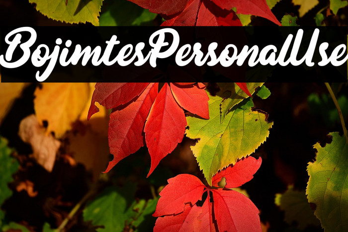 BojimtesPersonalUse Example 3