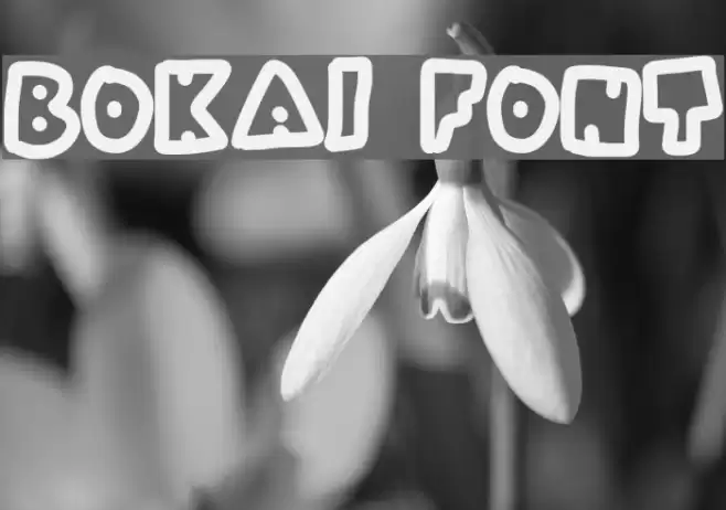 Bokai Font examples