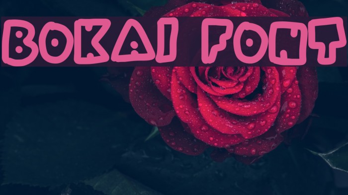 Bokai Font examples