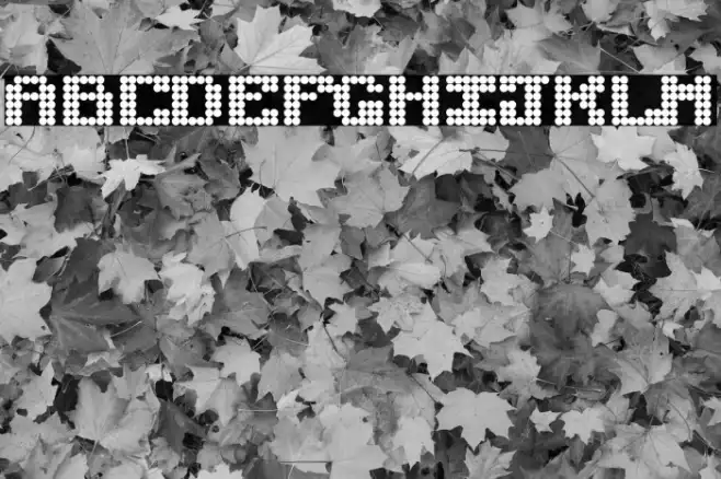 Bokeh Example 3
