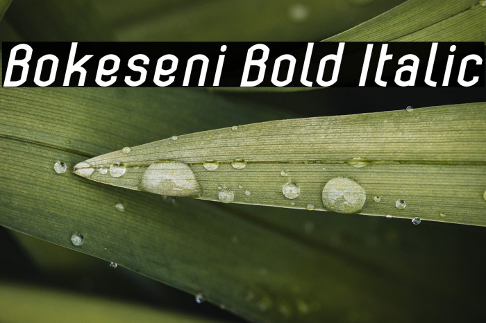 Bokeseni Bold Italic Example 2