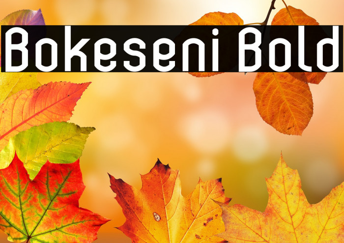 Bokeseni Bold Example 2