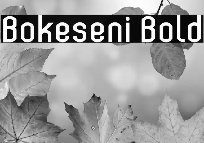 Bokeseni Bold Font examples