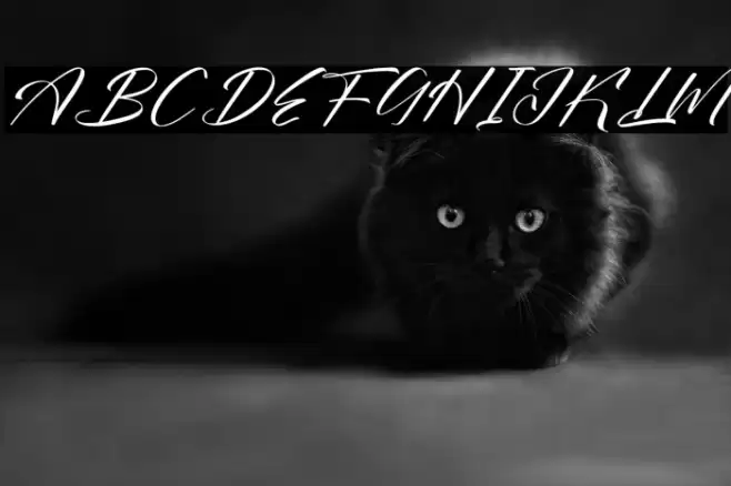 Bokeylan Qimghora DEMO VERSION Italic Caratteri examples