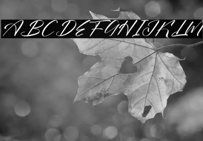 Bokeylan Qimghora DEMO VERSION Italic Caratteri examples