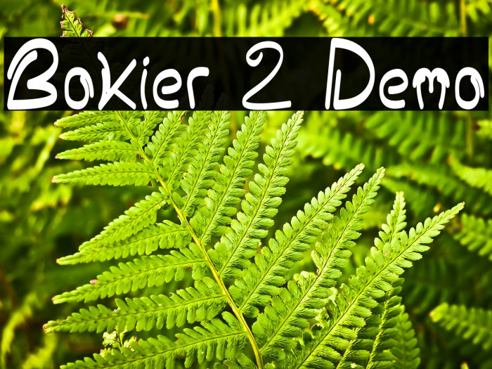 Bokier 2 Demo Example 1