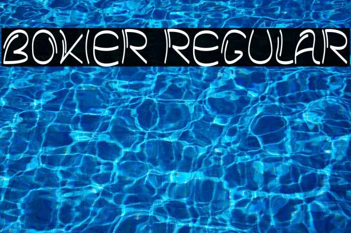 Bokier Regular Example 1