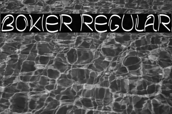 Bokier Regular Font examples