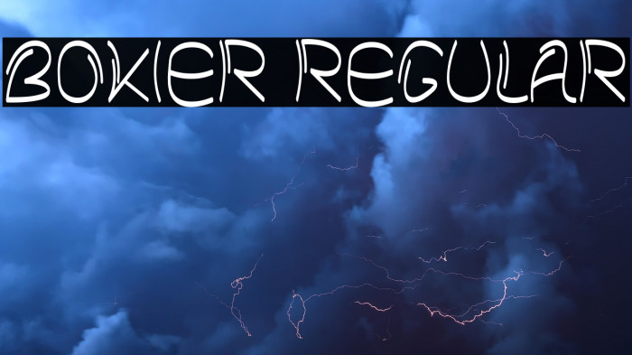 Bokier Regular Example 2