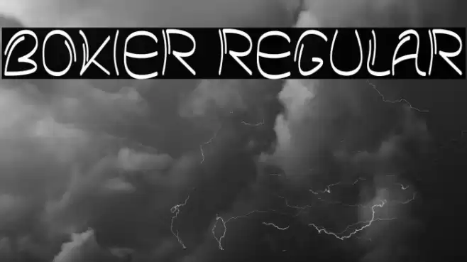 Bokier Regular Font examples
