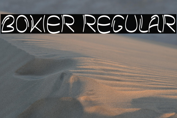 Bokier Regular Example 3