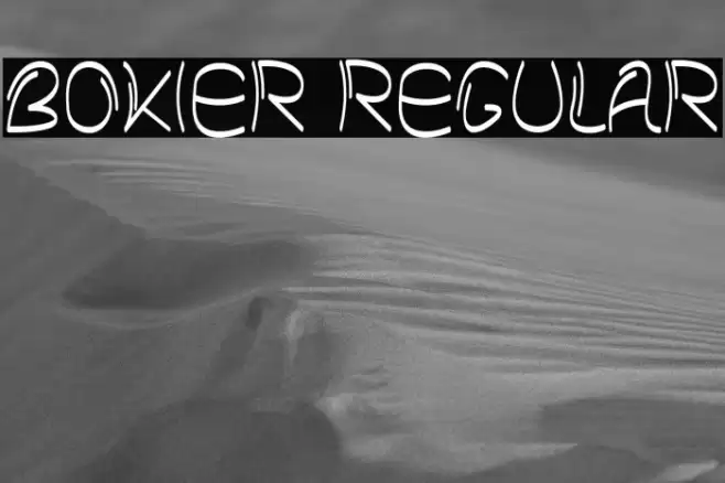 Bokier Regular Font examples