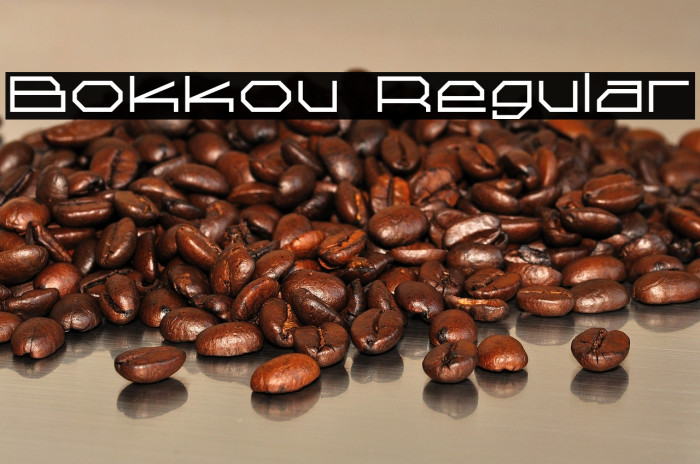Bokkou Regular Example 1