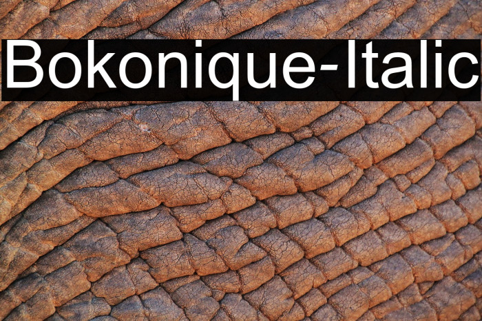 Bokonique-Italic Example 1