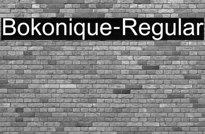 Bokonique-Regular Example 1