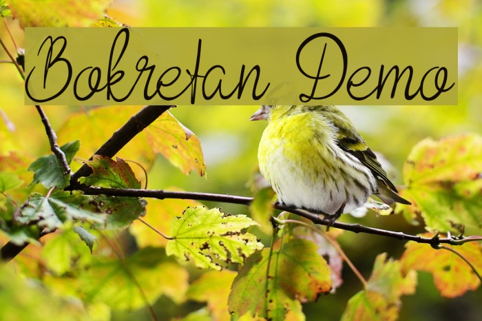 Bokretan Demo Font examples