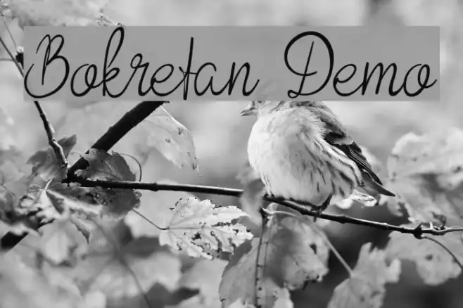Bokretan Demo Example 2