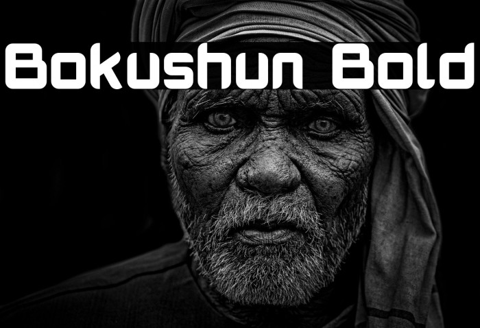 Bokushun Bold Example 1