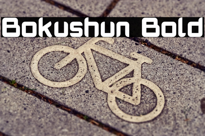 Bokushun Bold Example 3