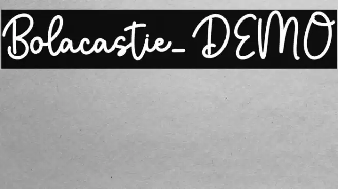 Bolacastie_DEMO 字体 examples
