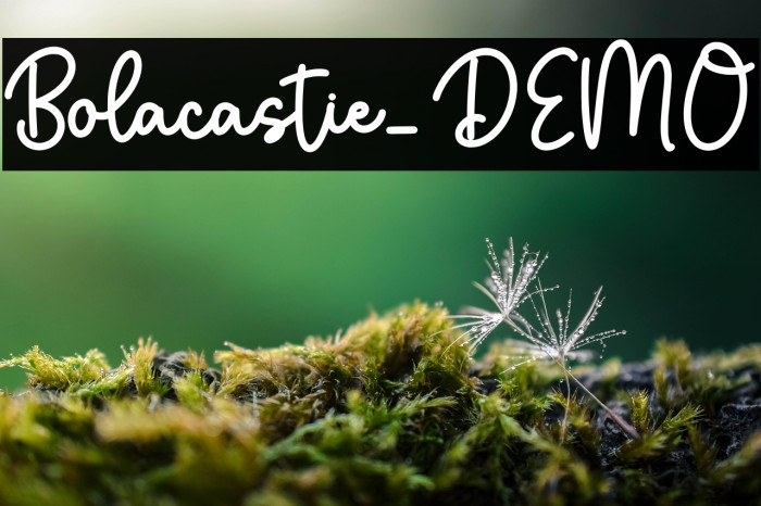 Bolacastie_DEMO Example 2