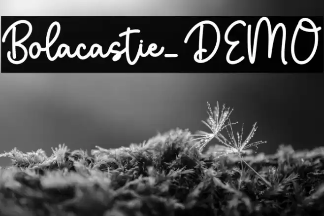 Bolacastie_DEMO 字体 examples