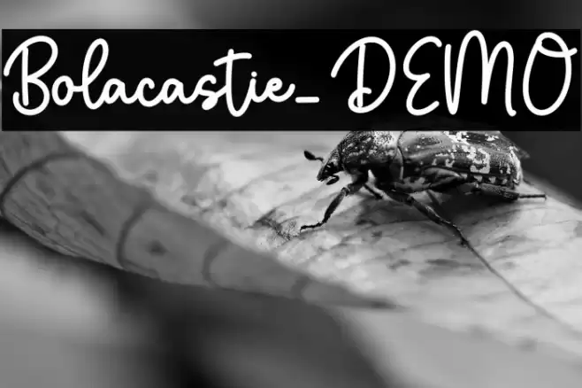 Bolacastie_DEMO 字体 examples