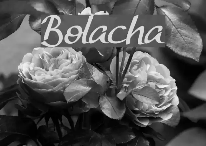 Bolacha Font examples