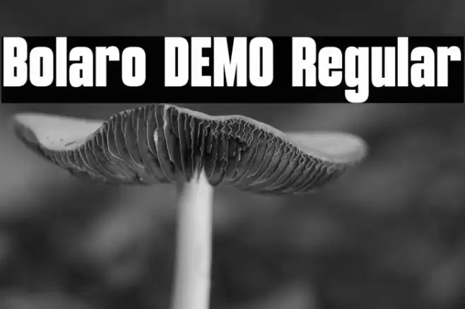 Bolaro DEMO Regular Caratteri examples